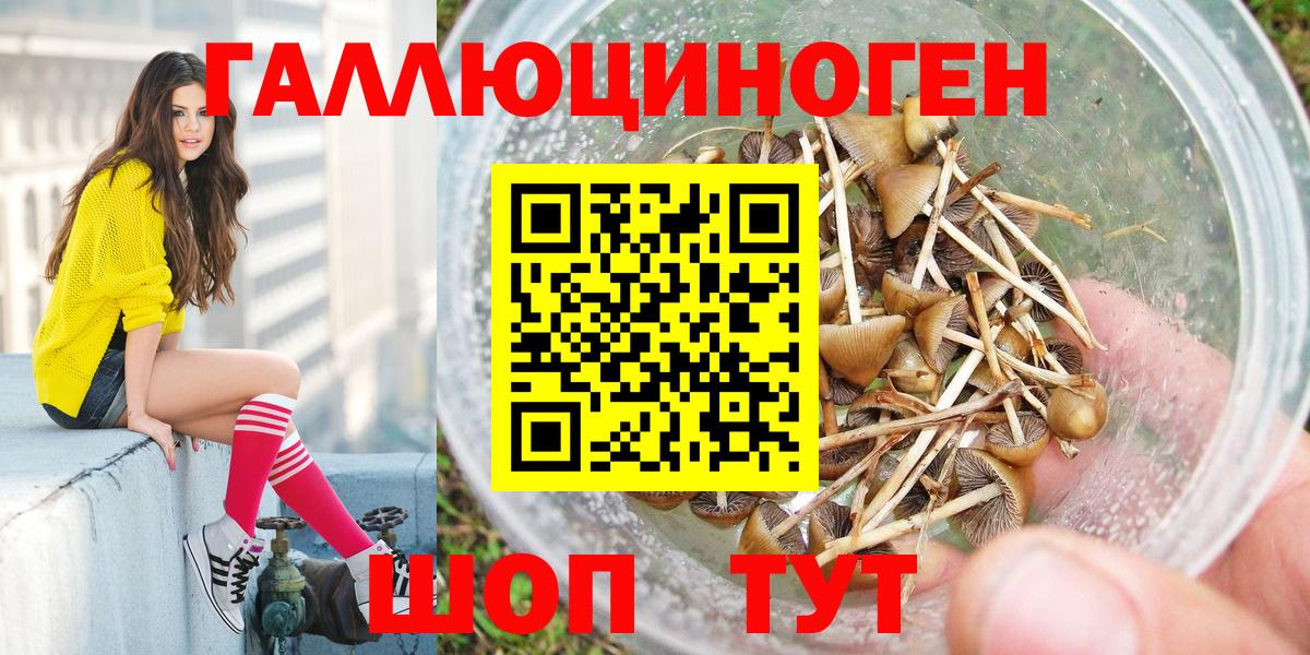 Псилоцибиновые грибы Cubensis Белебей